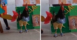 Ragazza porta il suo gallo a scuola per partecipare ai giochi floreali e diventa virale