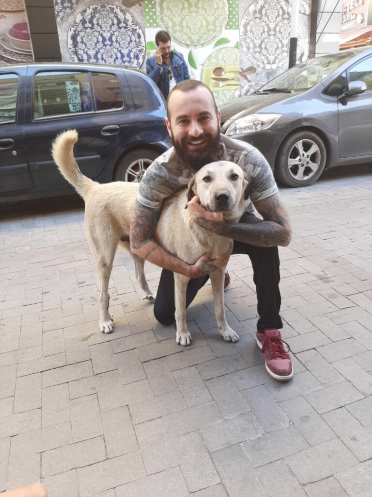 Giovane balla con cane randagio e viene ripreso