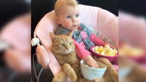 Mamma lascia il suo bambino con il gatto. Quando torna li ritrova in un momento di dolcezza enorme (VIDEO)