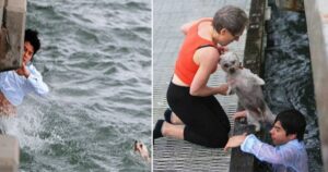 Si trovava sul molo per spargere le ceneri di sua nonna e ha finito per salvare un cane che stava annegando
