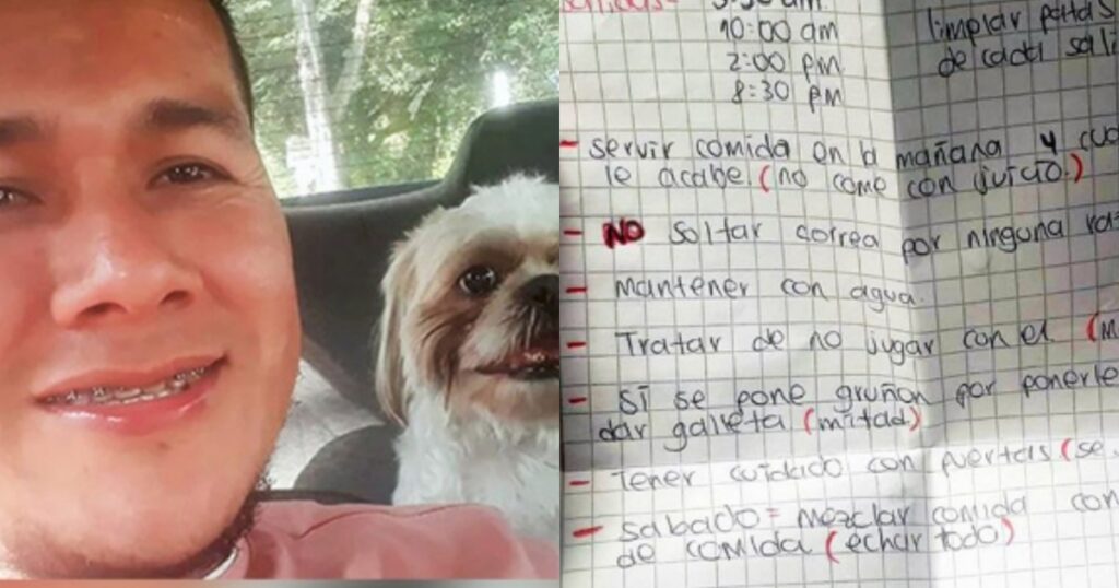 tassista trova cane abbandonato nella sua auto