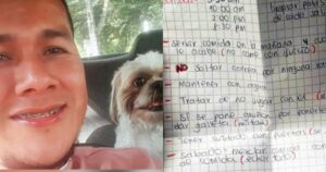 Tassista adotta cagnolino che un passeggero aveva abbandonato nel suo taxi con tanto di istruzioni scritte (VIDEO)