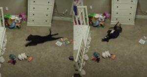 Telecamera di sicurezza riprende cagnolino che entra di nascosto nella camera di un bambino per fare qualcosa di straordinario (VIDEO)