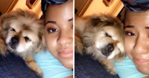 Video fa commuovere internet: l’addio di un cucciolo alla sua madre umana
