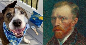 Van Gogh, il cane pittore con un brutto passato alle spalle (VIDEO)