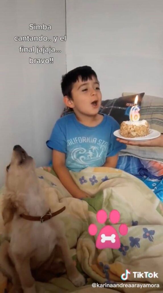 amico cane festeggia il compleanno del suo padrone