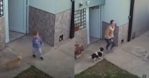 Bambino viene ripreso mentre scappa da casa. I cani avvertono la mamma (VIDEO)