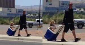 Avvistato uomo mentre trasportava il suo cane in una borsa frigo
