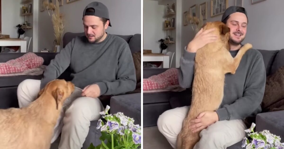 Cagnolina abbraccia il suo padrone ogni volta che si mette le scarpe ...