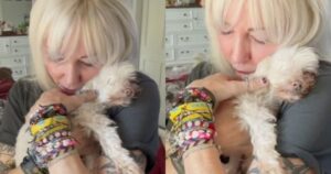 Cagnolino sordo e cieco trova finalmente un modo per rilassarsi grazie alla sua padrona (VIDEO)