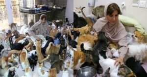 Salvatrice compulsiva di animali: la donna vive con tantissimi gatti e cani (VIDEO)