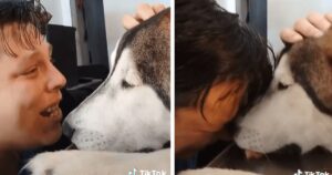 Giovane dice addio al suo amato cane dopo aver trascorso 12 anni assieme