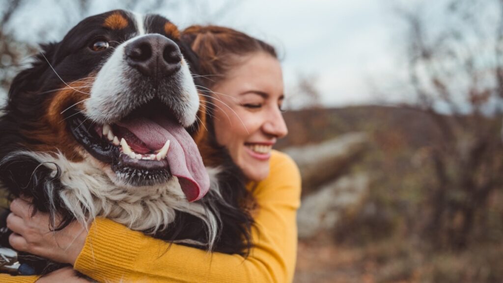 i cani sono i migliori amici dell'uomo