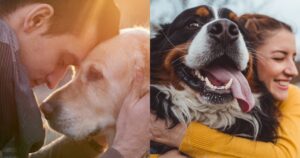 11 motivi per cui i cani sono i migliori amici più fedeli dell’uomo