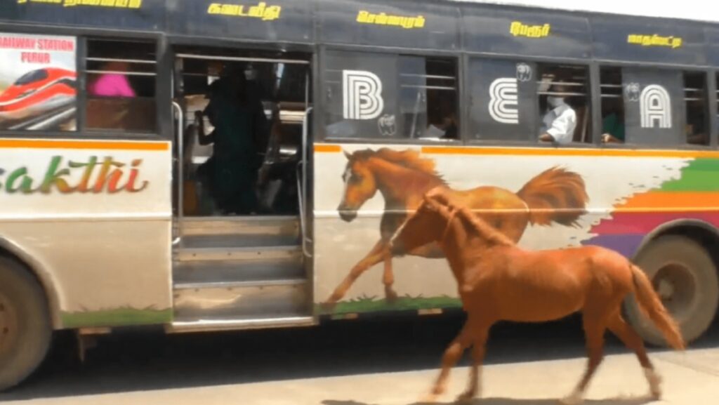 Puledro insegue un autobus con stampa di cavallo