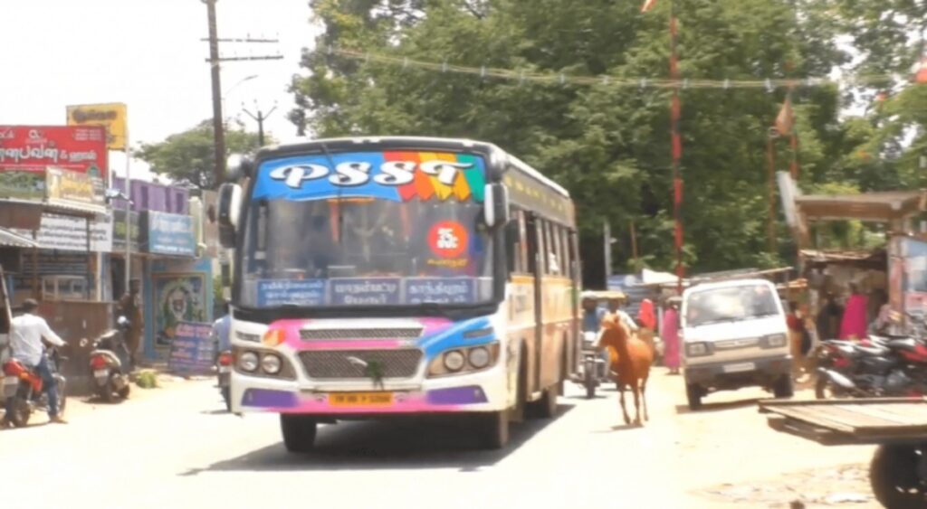 Puledro insegue un autobus con stampa di cavallo