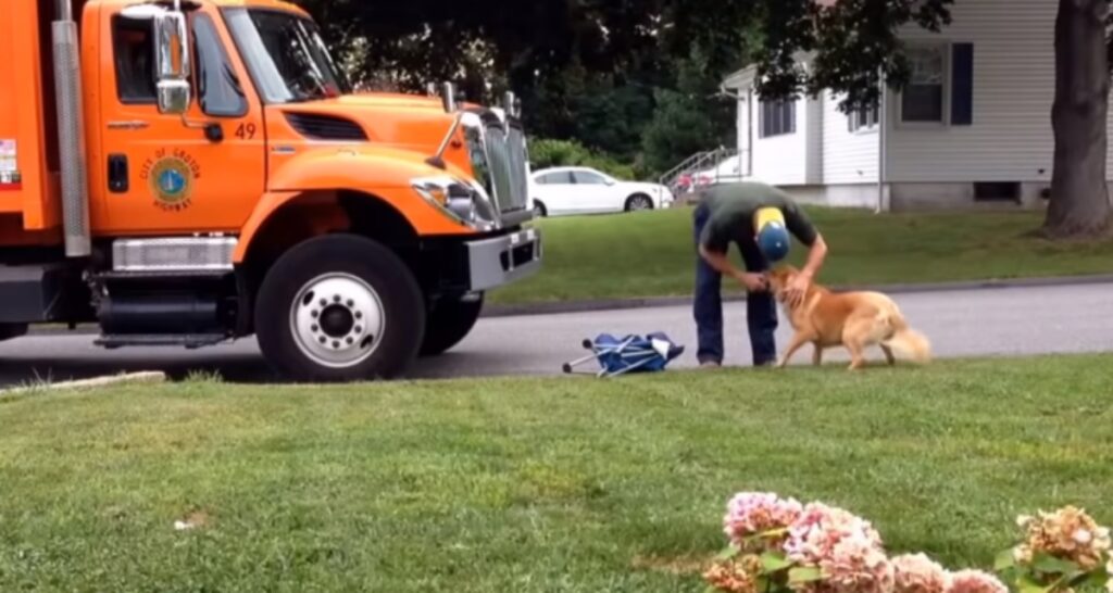 Shelby il cane con il suo amico netturbino