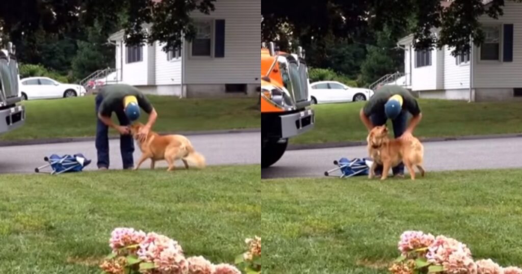 Shelby il cane con il suo amico netturbino