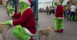 Uomo travestito da Grinch preferisce accarezzare un cagnolino anziché fare una foto con un bambino (VIDEO)