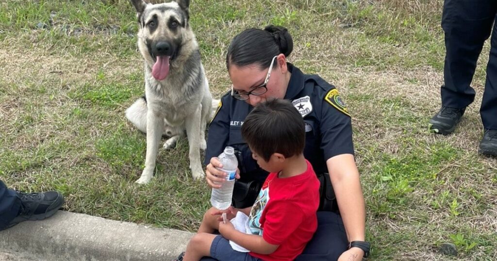 bambino scomparso in compagnia del suo pastore tedesco