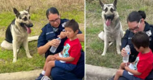 Bambino di 5 anni con sindrome di Down scomparso e ritrovato insieme al fedele cane che lo proteggeva (VIDEO)