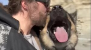 Il cagnolone Biggie e il suo umano Scott raccontano il loro splendido legame (VIDEO)