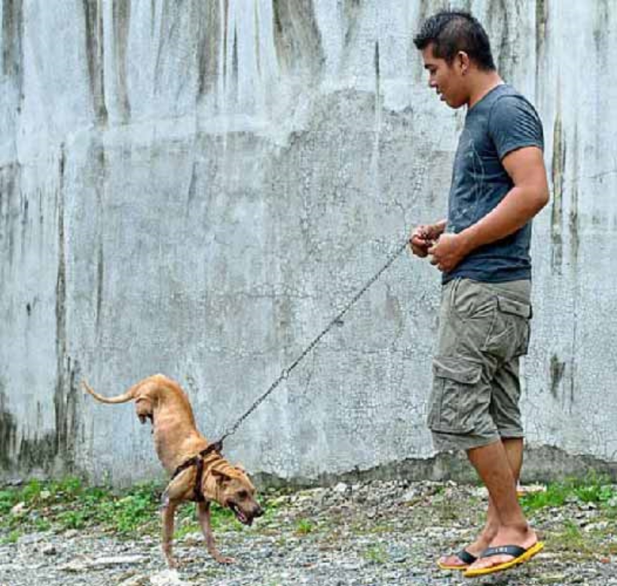 Mini Vassoio Vanity PS Nero, 70cc, 50 Pezzi, Finger Food Monoporzione Design Elegante E Raffinato - Foto 4