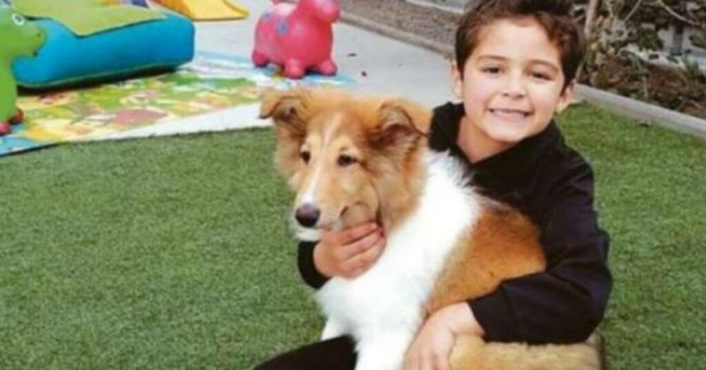 Bambino chiede donazioni per cani randagi al posto dei regali