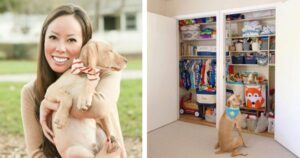 Una donna decora una camera lussuosa per accogliere il suo nuovo Labrador (VIDEO)