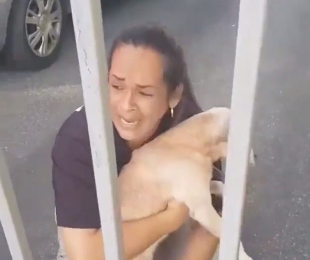 Una donna piangeva mentre abbracciava il suo cane ritrovato