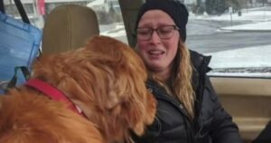 Golden Retriever fugge nel bosco spaventato dopo aver subito un evento traumatico