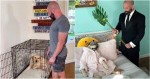 Labrador viene trattato dal suo padrone in un modo davvero lussuoso: Il cane fa una vita da sogno (VIDEO)