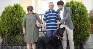 Labrador scopre che il suo proprietario con l’Alzheimer si è perso e lo aiuta a tornare a casa