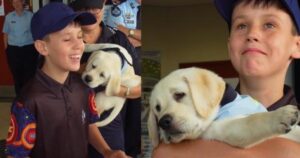 bambino adotta Labrador come cane da suppurto