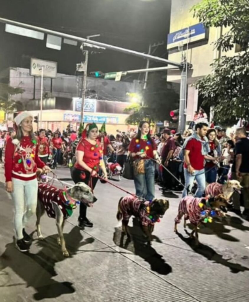 cani disabili alla parata natalizia in Messico