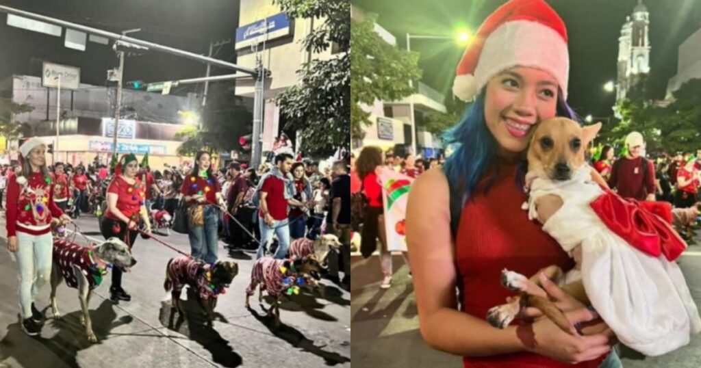 cani disabili alla parata natalizia in Messico