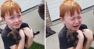 I nonni fanno una splendida sorpresa al nipote che aveva raccolto soldi per adottare un cagnolino (VIDEO)