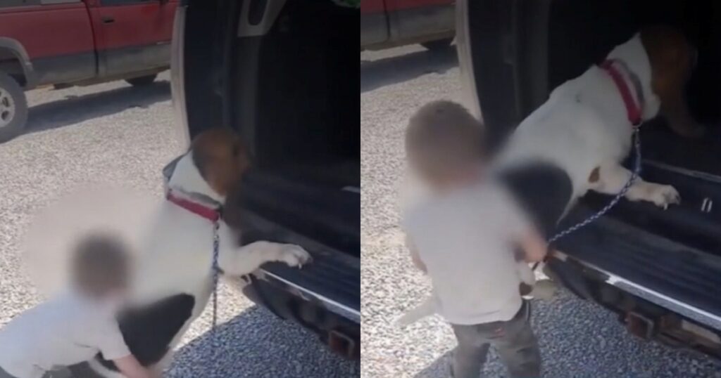 bambino aiuta cucciolo a salire in macchina