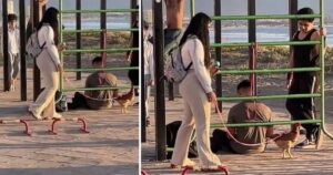 Una donna porta il proprio pollo a passeggiare in spiaggia con tanto di guinzaglio (VIDEO)