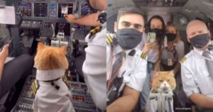 Pilota porta il suo gattino in uniforme sull’aereo (VIDEO)