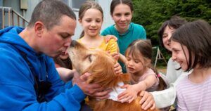 Golden Retriever cieco è stato ritrovato dopo 3 settimane in Alaska (VIDEO)