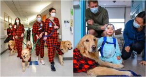 Golden Retriever in pigiama regalano sorrisi ai bambini in ospedale (FOTO)