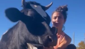 Salvano e accudiscono la mucca Nirvana; qui la sua dolcissima storia (VIDEO)