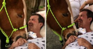 La terapia equina emoziona quest’uomo in gravi condizioni dopo un incidente (VIDEO)