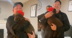 Riceve un Labrador per il compleanno e questo papà non riesce a contenere le sue emozioni (VIDEO)