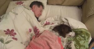 La famiglia dorme sul divano con il proprio cagnolone per accompagnare i suoi ultimi giorni di vita