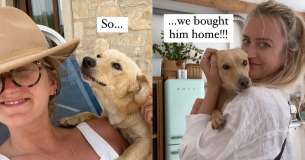 donna adotta cane in Grecia
