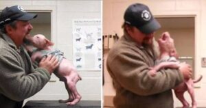 Lo stesso uomo che ha salvato il cucciolo di Pitbull torna al rifugio per adottarlo. Il cane impazzisce di gioia (VIDEO)