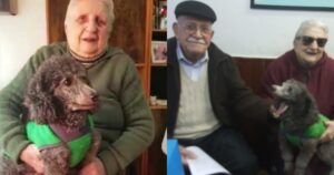 Anziani offrono la pensione come riscatto per il loro cucciolo rapito (VIDEO)