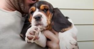 La dolcissima e non più triste cagnolina Poppy ha finalmente trovato gli amici che merita (VIDEO)